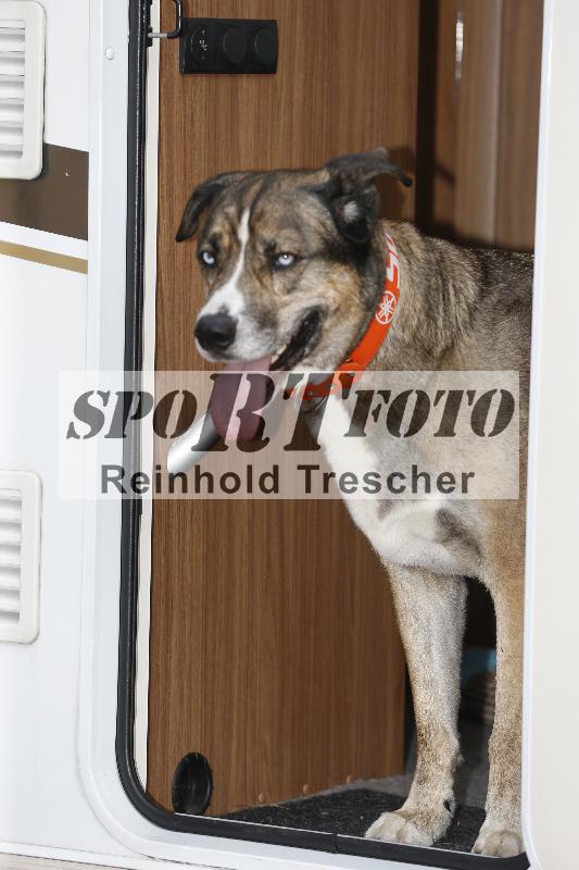 /32 03.08.2026  TIMMOT ADR/Impressionen